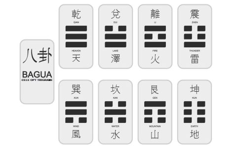 opt-trigrame-personale-3